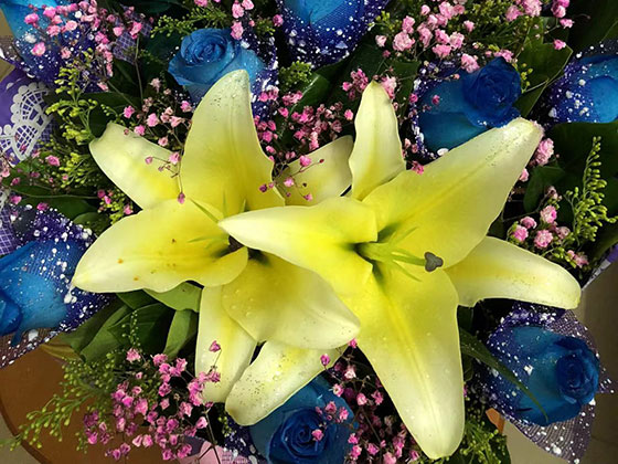 三门峡鲜花花艺/仿真花,庆典花篮,打造有花和绿的环境